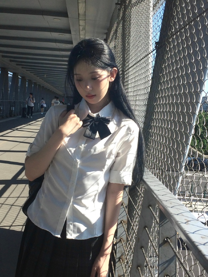 作者头像